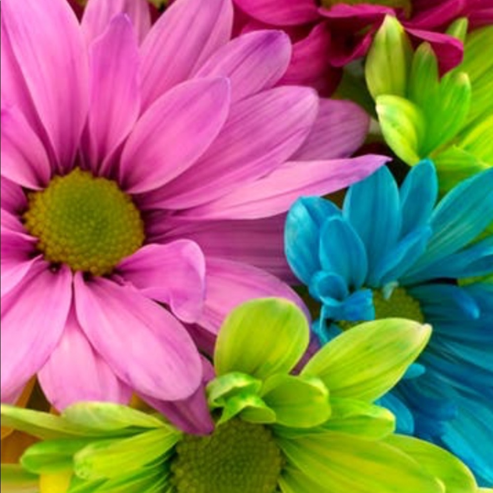 Meet your Posher, Teresa